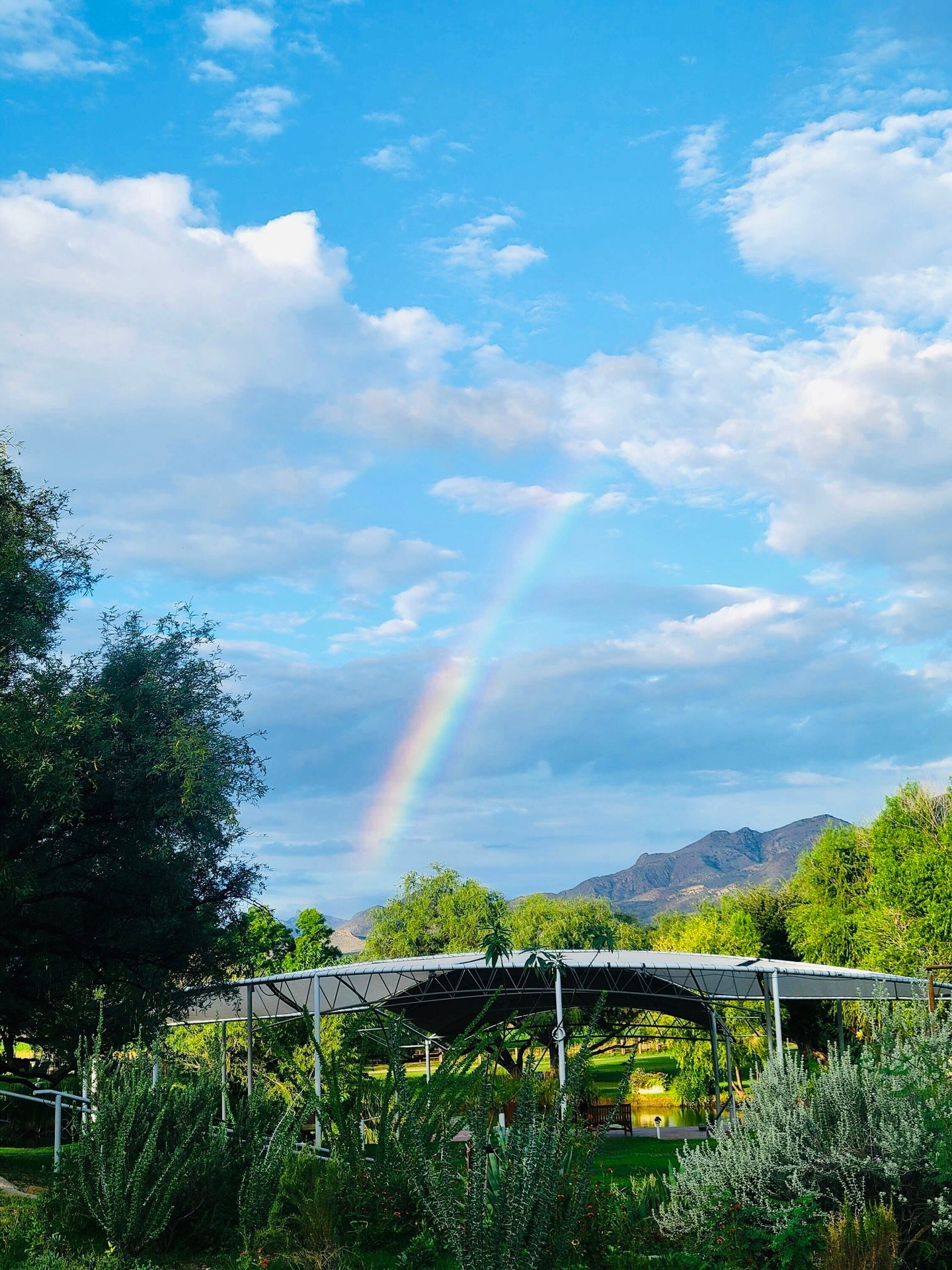 From the rainbows and butterflies, to the clouds and night skies… The Creator’s artistry…