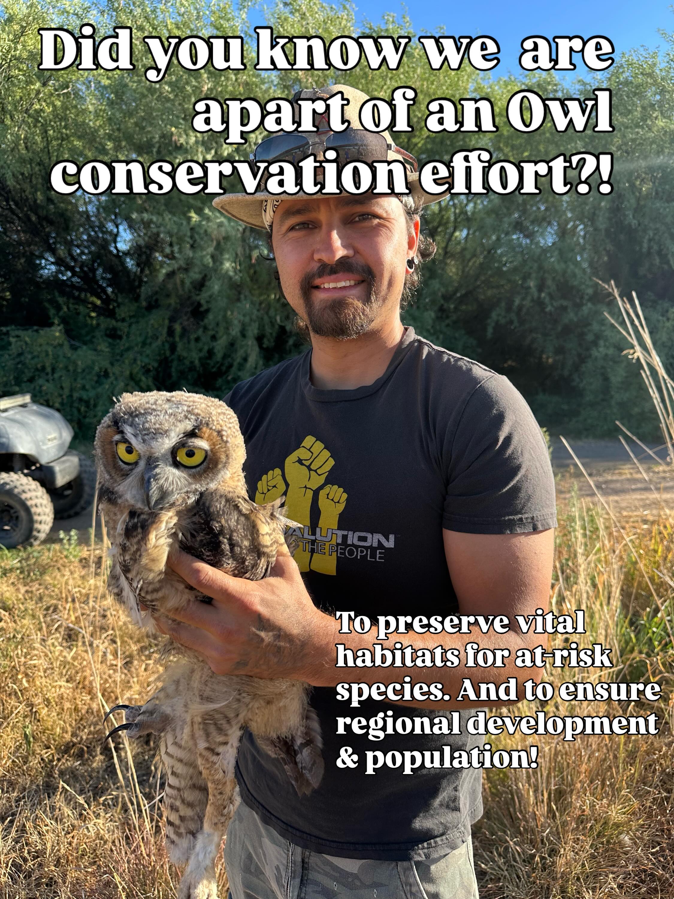 Southern Arizona is home to 13 distinct species of owls, making it one of the best bird-w…