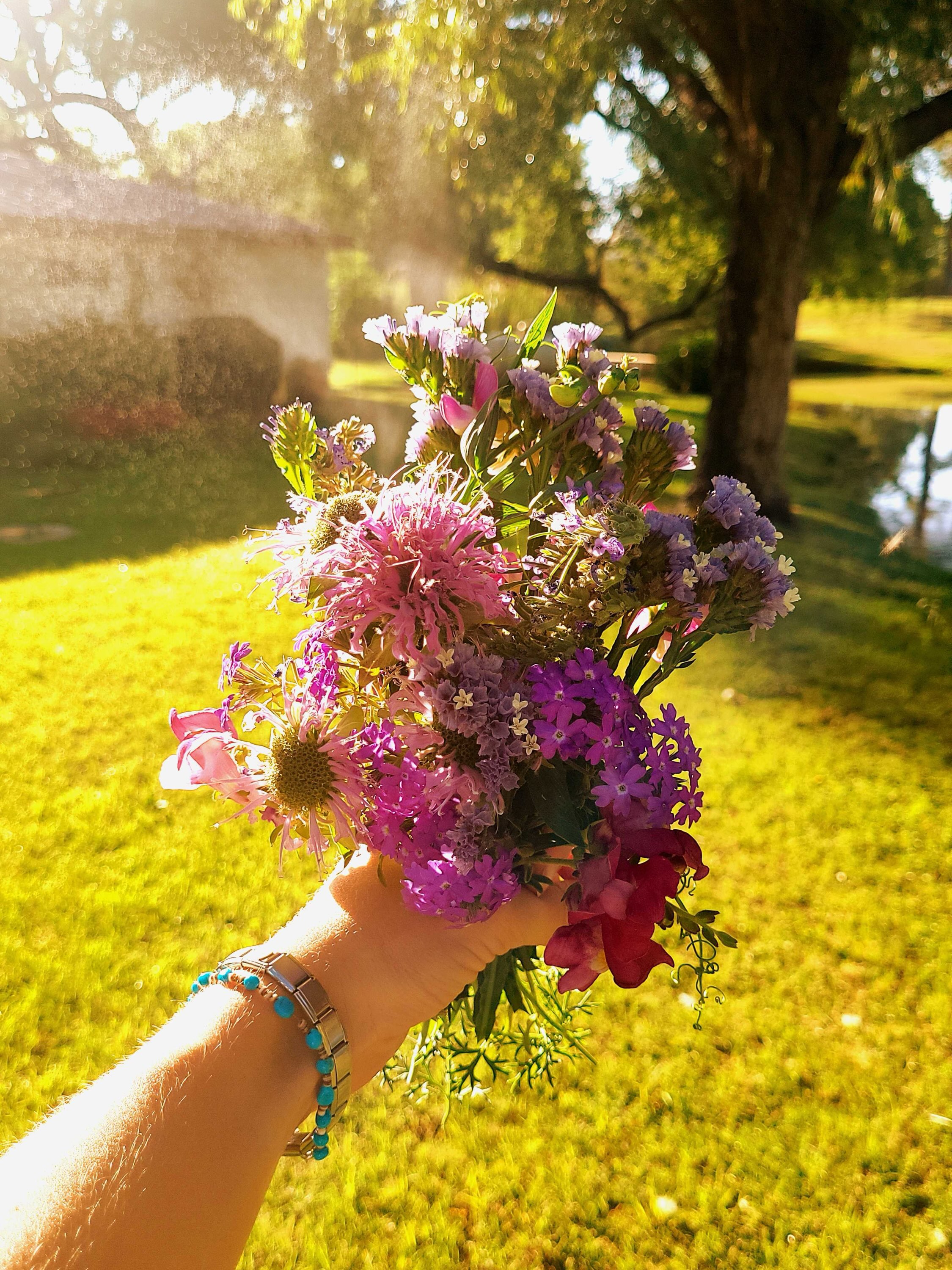 Every day, beauty and moments of joy! 🌞😍
